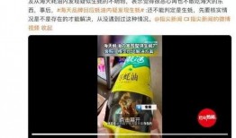 爆料海天视频最新,揭秘行业内幕，引发公众关注